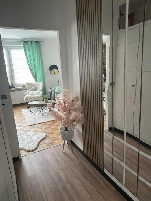Wilhelmshoehe Alle Kassel Exteriör bild